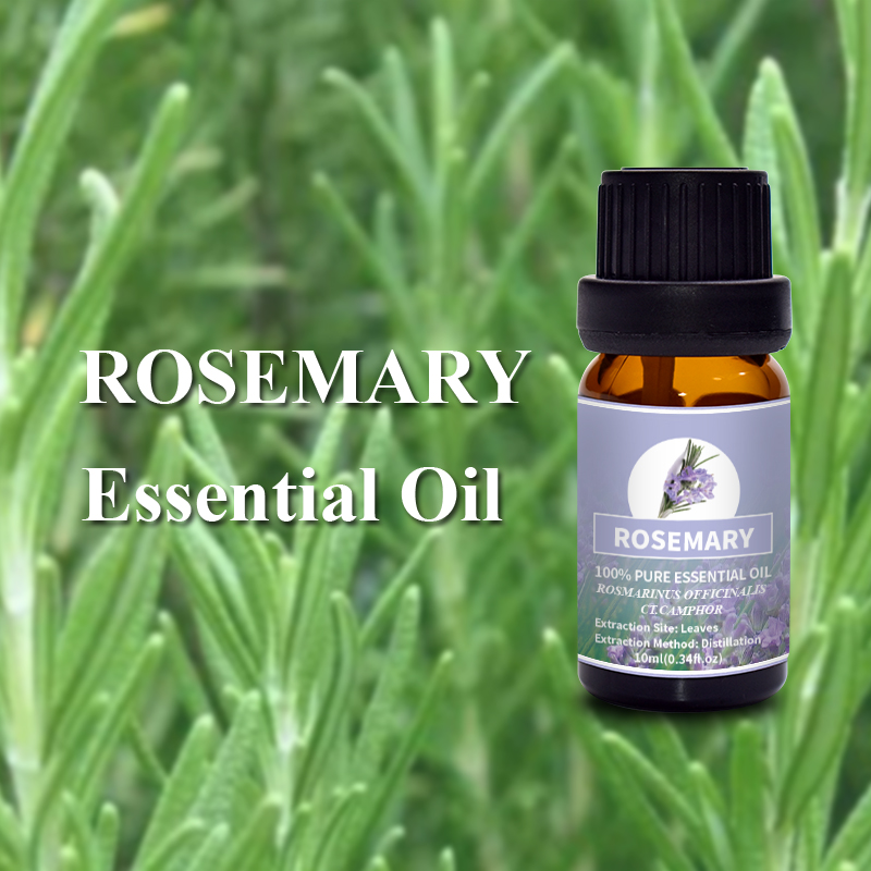 Puraeo Rosemary Camphor Type for Aromatherapy 7