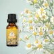 Latest tea tree oil for skin Suppliers for hair 6