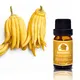High-quality best grapefruit essential oil factory for hair 3