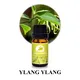 Puraeo Wholesale pure rosemary oil company for skin 5