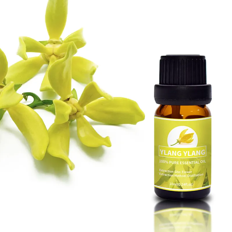 Puraeo Wholesale pure rosemary oil company for skin 4