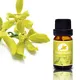 Puraeo Wholesale pure rosemary oil company for skin 4