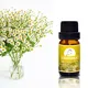 Puraeo best frankincense oil company for hair 4