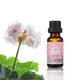 Puraeo single oils Supply for face 5