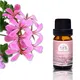 Puraeo lavender oil for sleep factory for skin 6