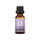 Puraeo Best lavender essential oil for face factory for massage 3