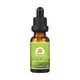 Puraeo Best organic rosemary oil for hair growth Supply for hair 4