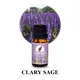 Puraeo pure essential oils manufacturers factory for massage 2