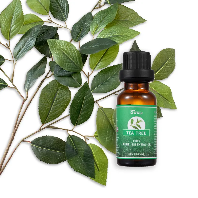 Puraeo Wholesale geranium essential oil Suppliers for perfume 6