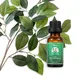 Puraeo Wholesale geranium essential oil Suppliers for perfume 6