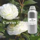 Puraeo High-quality coconut carrier oil for business for perfume 4