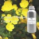 Puraeo carrier oil for perfume factory for hair 3