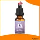 Puraeo Custom best tea tree oil for skin company for massage 1