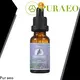 High-quality ginger oil manufacturers for hair 1