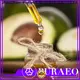 Puraeo best carrier oil for skin for business for face 1