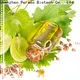 Puraeo Latest sweet almond essential oil company for skin 1