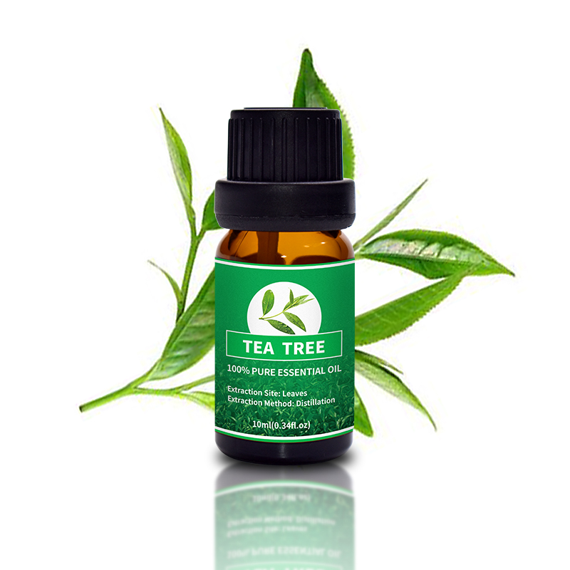 Puraeo Latest clary sage oil for hair Supply for skin 3