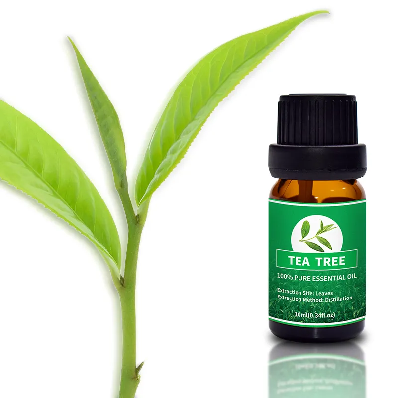 Puraeo rosemary oil for hair loss factory for hair 6