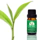 Puraeo rosemary oil for hair loss factory for hair 6