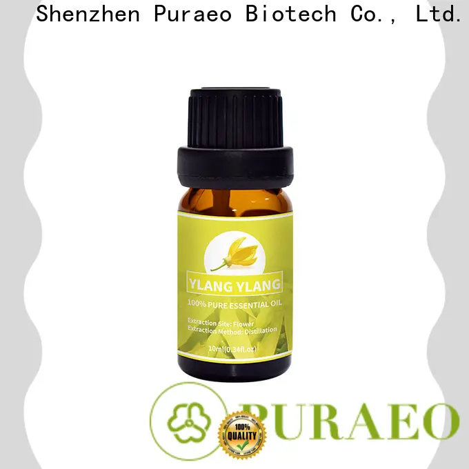 Puraeo Best organic ginger oil factory for skin 1