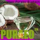 Puraeo High-quality bulk carrier oils factory for skin 1