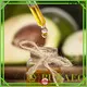 Puraeo best carrier oils for aging skin company for face 1