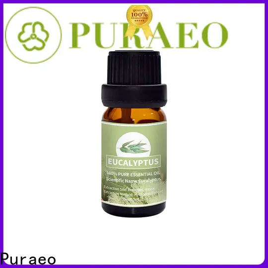 Puraeo best peppermint essential oil Suppliers for massage 1