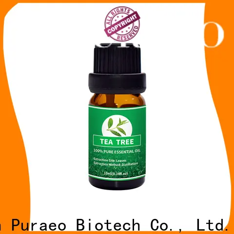 Puraeo geranium oil for hair company for hair 1