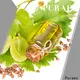 Puraeo sweet almond essential oil company for skin 1