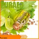 Puraeo New jojoba oil wholesale distributors company for face 1