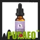 High-quality frankincense essential oil Suppliers for skin 1