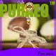 Custom coconut carrier oil for business for hair 1