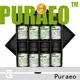 Puraeo Best pure essential oils wholesale Suppliers for face 1