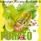 Puraeo best carrier oil brands for business for perfume 1