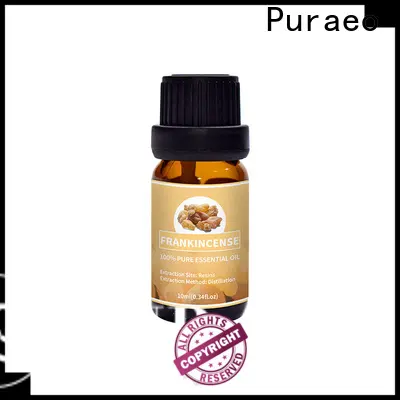 Best ginger oil factory for hair 1