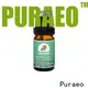 Puraeo New rosemary oil for hair loss company for skin 1