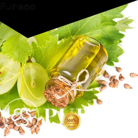 Puraeo buy jojoba oil wholesale for business for massage 1