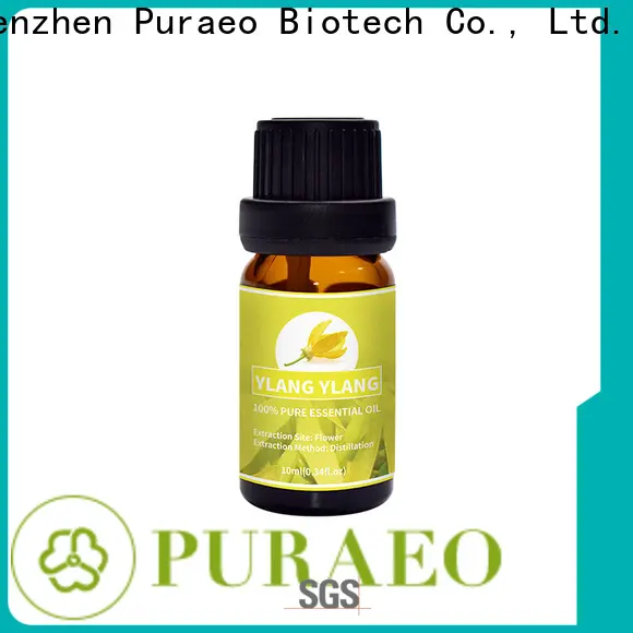 Puraeo High-quality organic lavender essential oil factory for massage 1