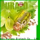 Puraeo Best massage oil bulk suppliers Suppliers for skin 1