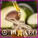 New bulk sweet almond oil Suppliers for massage 1