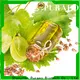 New sweet almond essential oil factory for perfume 1