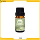 High-quality peppermint oil for hair manufacturers for perfume 1