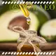 Wholesale almond carrier oil for business for hair 1