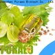 Puraeo coconut carrier oil manufacturers for face 1
