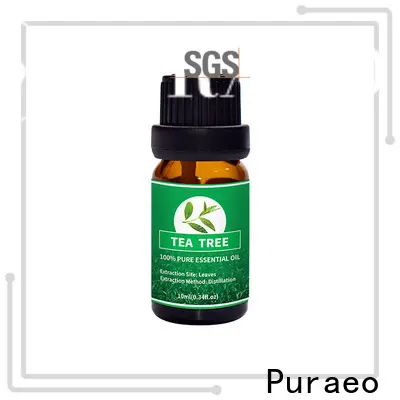 Custom peppermint essential oil for hair factory for perfume 1