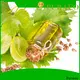 Puraeo olive oil carrier oil Suppliers for hair 1