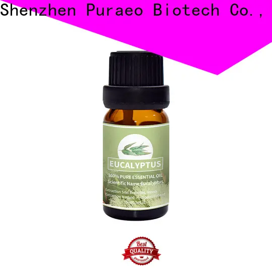Puraeo High-quality peppermint pure essential oil manufacturers for face 1