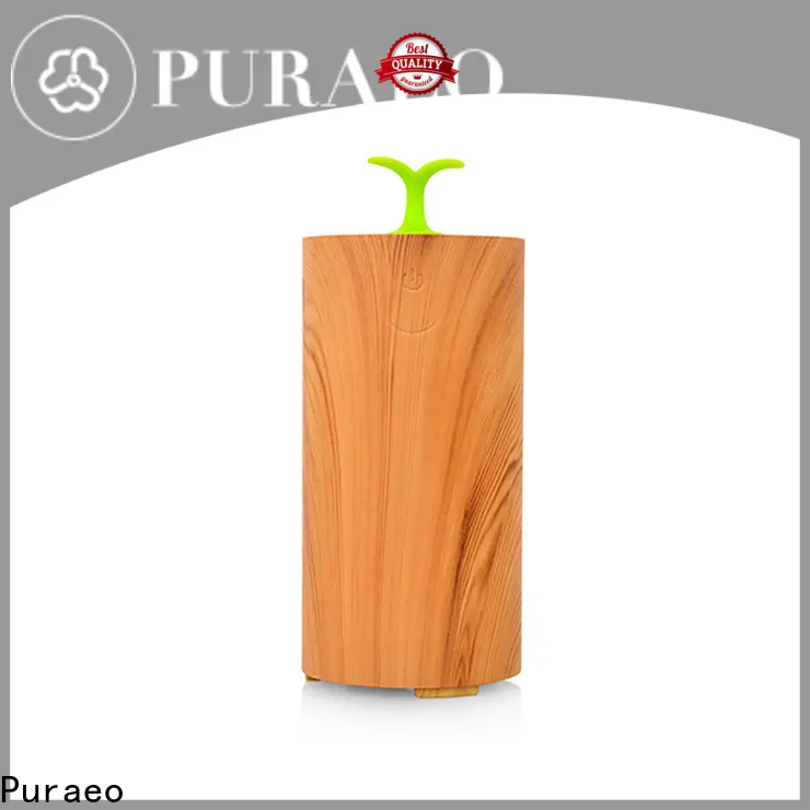 Puraeo High-quality usb car essential oil diffuser company 1