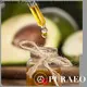 Latest buy jojoba oil wholesale company for face 1
