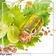 Puraeo Latest coconut oil essential oil Suppliers for hair 1